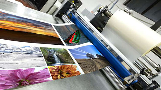 Thesis book printing